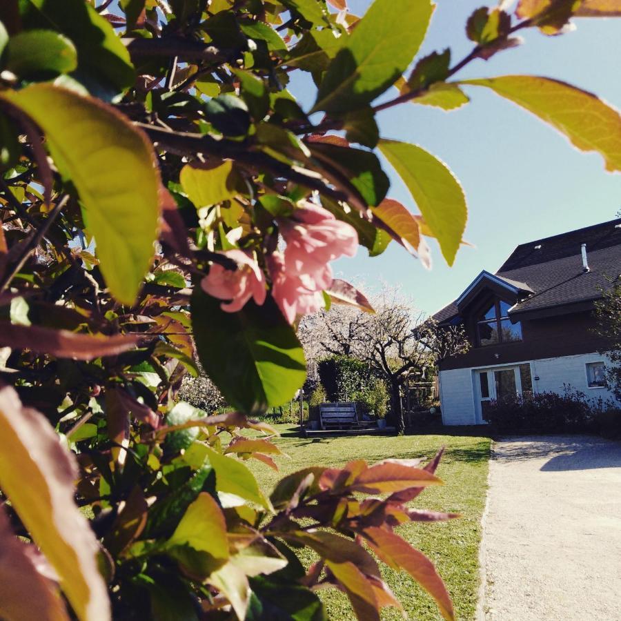 Chalet La Bachole Charancieu Εξωτερικό φωτογραφία