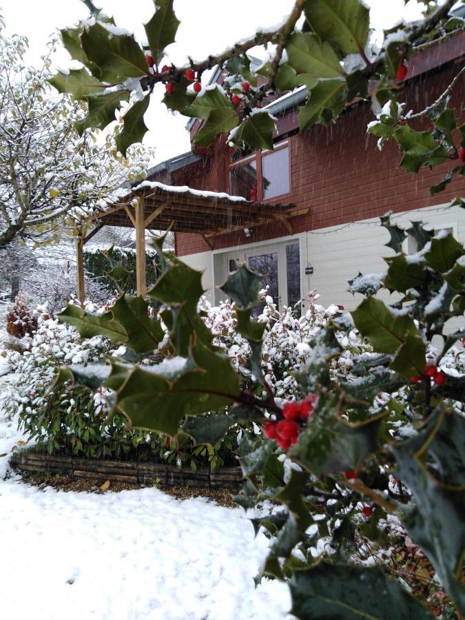 Chalet La Bachole Charancieu Εξωτερικό φωτογραφία