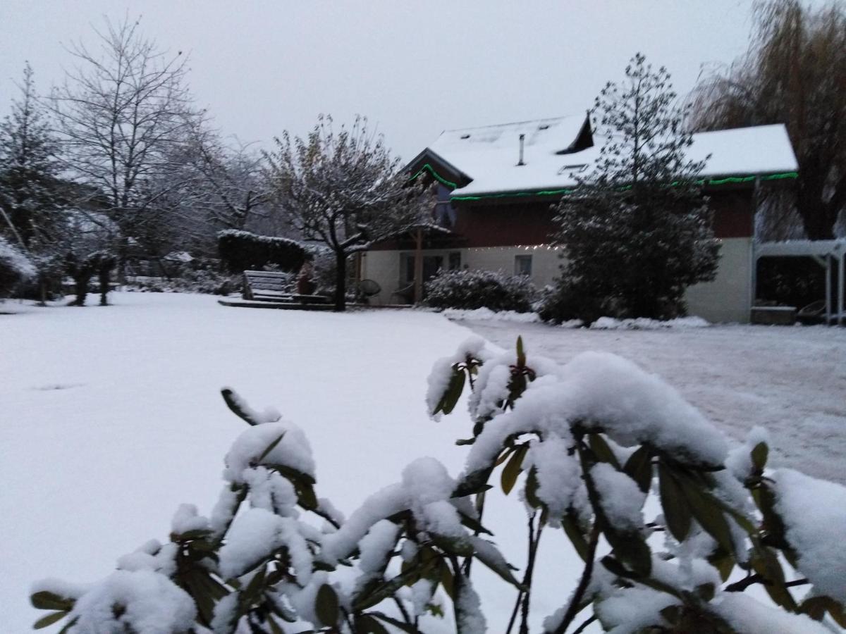 Chalet La Bachole Charancieu Εξωτερικό φωτογραφία