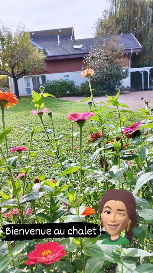 Chalet La Bachole Charancieu Εξωτερικό φωτογραφία